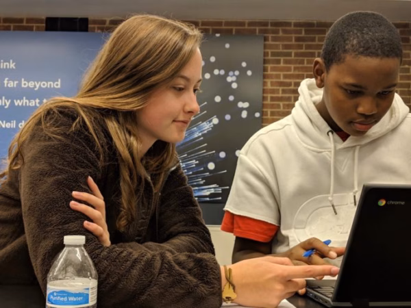 Fellows work opportunities
