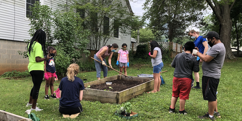 Gardening Club sprouts this summer