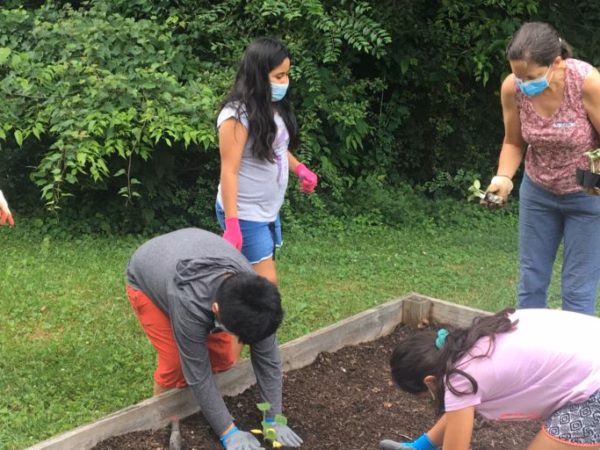 Gardening Club sprouts this summer