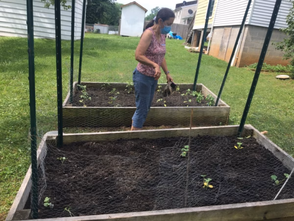 Gardening Club sprouts this summer
