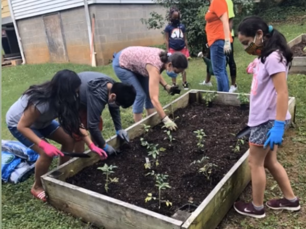 Gardening Club sprouts this summer